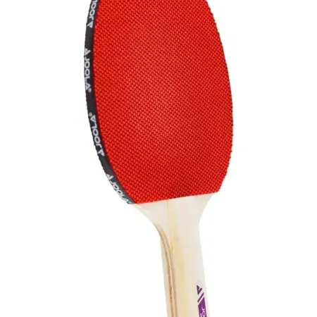 Ракетка для настольного тенниса BEAT EX. VISTASPORT