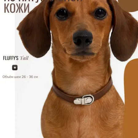 Ошейник для собак мелких пород однослойный коричневый. Fluffy's Tail