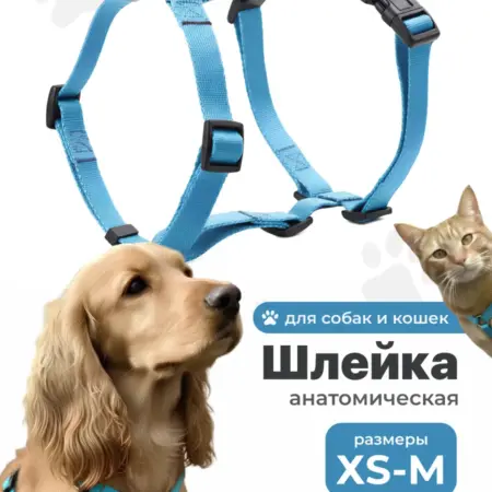 Шлейка для собак мелких и средних пород анатомическая. Интернет Революция