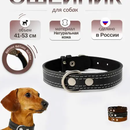 Ошейник кожаный с ватином для собак чёрный. Fluffy's Tail