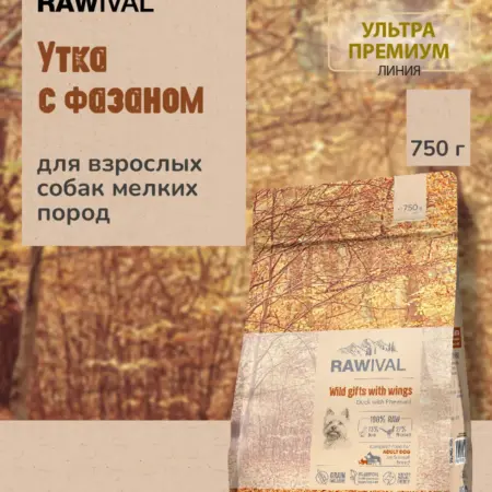 Сухой корм Wild Gifts with Wings утка с фазаном для взрослых…. СИМБИО