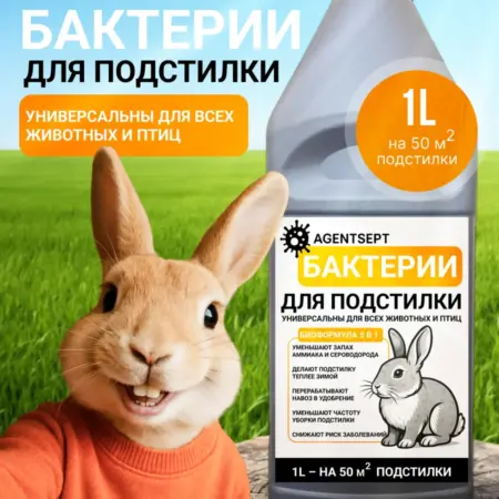 Био-бактерии для подстилки 1000 мл. Хафизов Ислам Ирекович