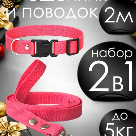 Поводок и ошейник для собак мелких пород и кошек XS + 2м. Магазин Petsare