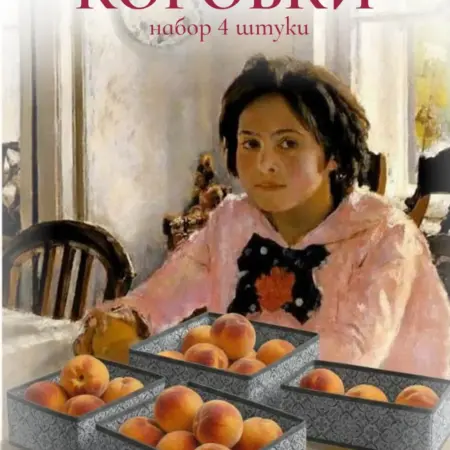 Набор коробок для хранения вещей 4шт. Prima House