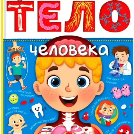Детская энциклопедия "Тело человека", 48 страниц, 3+. KoroBoom Shop