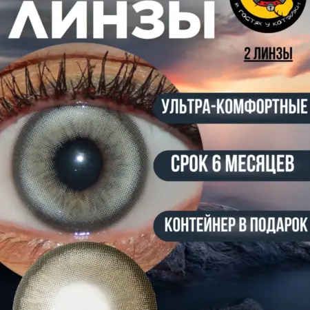Цветные контактные линзы для глаз серые без диоптрий 0.00. В гостях у Котэйки