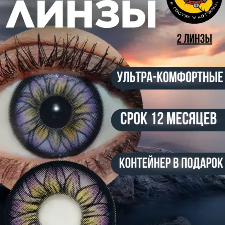 Цветные контактные линзы для глаз фиолетовые увеличивающие ц…. В гостях у Котэйки