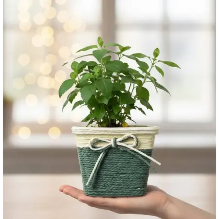 Кашпо для цветов декоративное. автотовары по акции