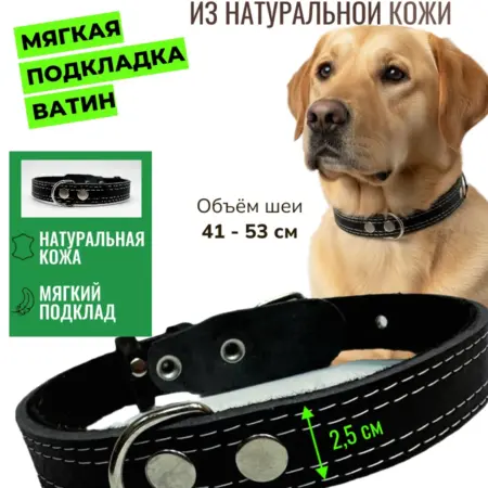 Ошейник кожаный с ватином для собак чёрный. Fluffy's Tail