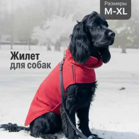 Жилет для собак мелких и средних пород флисовый утепленный. Интернет Революция