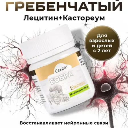 Ежовик гребенчатый с лецитином для мозга 1 шт. Магазин Красоты и Здоровья