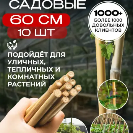 Колышки садовые, бамбуковые 60 см, 10 шт. АВЛИ. Ваш сад мечты