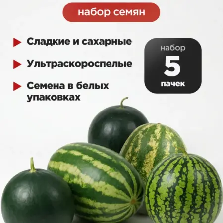 Семена арбуза сладких ультраскороспелых 5 пачек. Магазин АГРО-ОФФ - Сергей