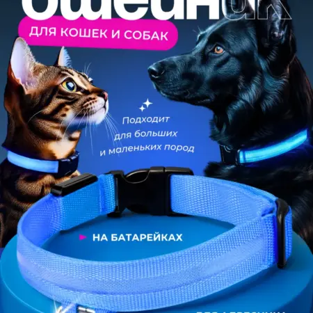 Светящийся ошейник для собак и кошек регулируемый нейлоновый. ВсеОКиТочка