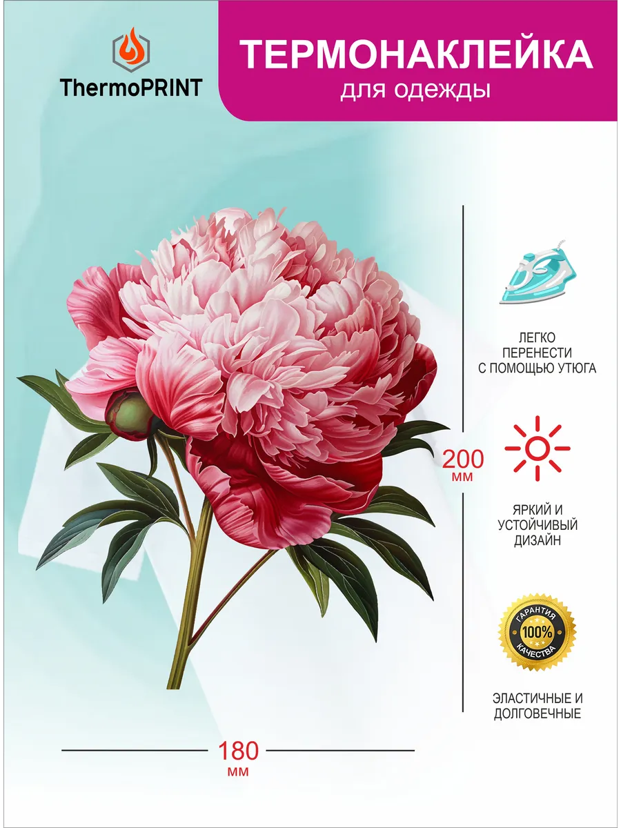 Термонаклейка на одежду Цветы Пион. ПРИНТ
