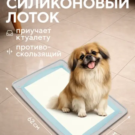 Лоток для собак под пеленку силиконовый 60*40 см. CityNature