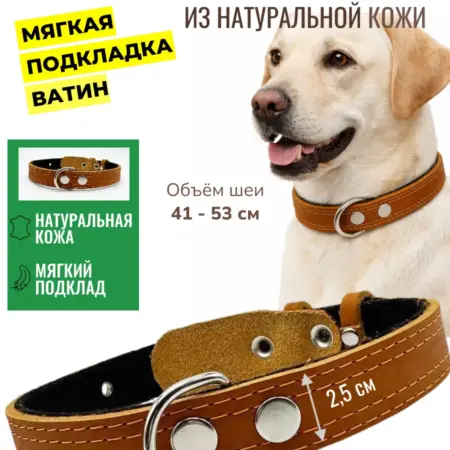 Ошейник для собак кожаный с ватином оранжевый. Fluffy's Tail