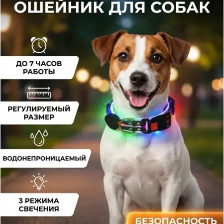 Ошейник светящийся для собак черный. Электромик