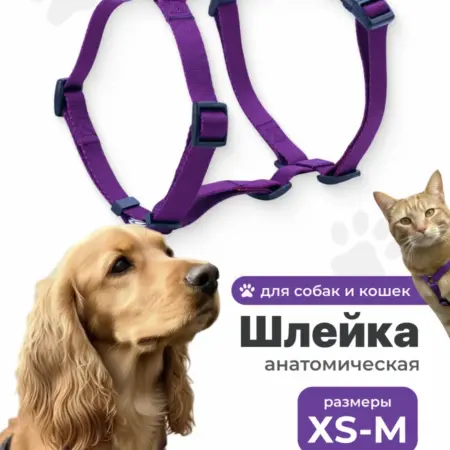 Шлейка для собак мелких и средних пород анатомическая. Интернет Революция