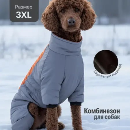 Комбинезон для собак средних и крупных пород. Интернет Революция