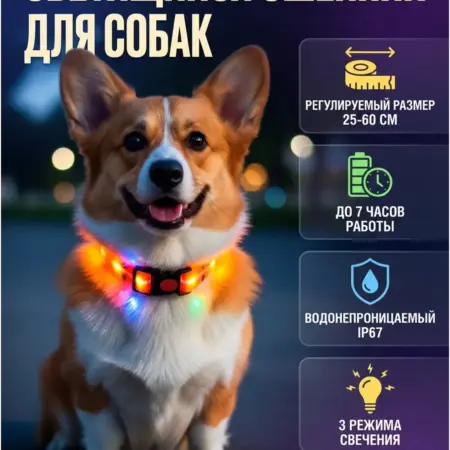 Ошейник светящийся для собак оранжевый. Электромик