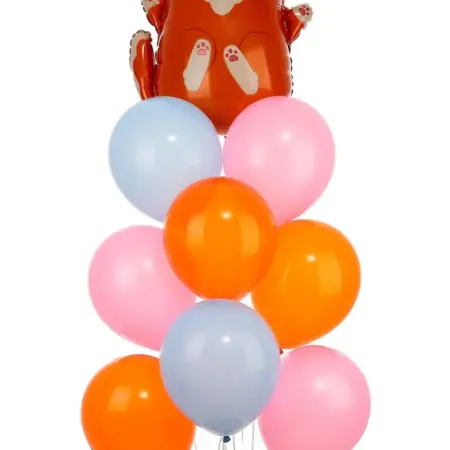 Воздушные латексные шары-букет Сиба-ину, шар-фигура, 9 штук. KoroBoom Shop