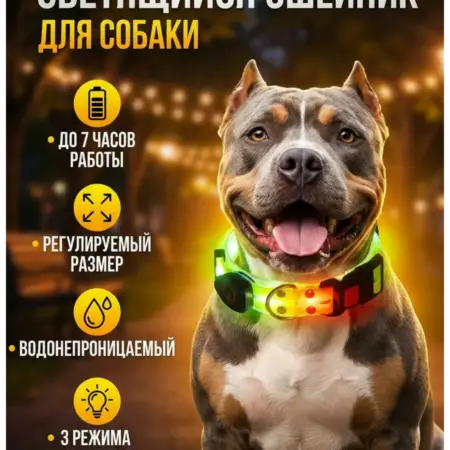 Ошейник светящийся для собак желтый. Электромик