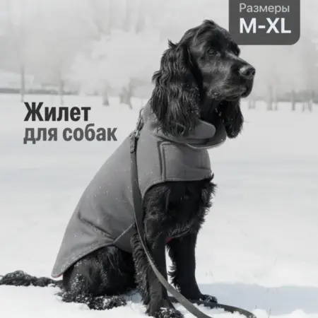 Жилет для собак мелких и средних пород флисовый утепленный. Интернет Революция