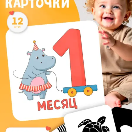 Карточки для новорожденных для фотосессии по месяцам. Муха Детям