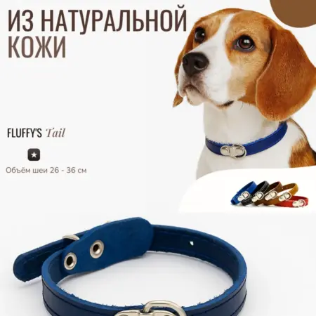 Ошейник для собак и кошек мелких пород однослойный синий. Fluffy's Tail