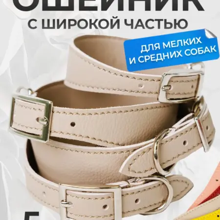 Ошейник для собак средних пород (селедка) на борзую, гончую. Товары для животных