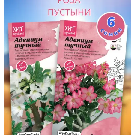 Адениум тучный-Розы пустыни, набор 1. АгроСидсТрейд
