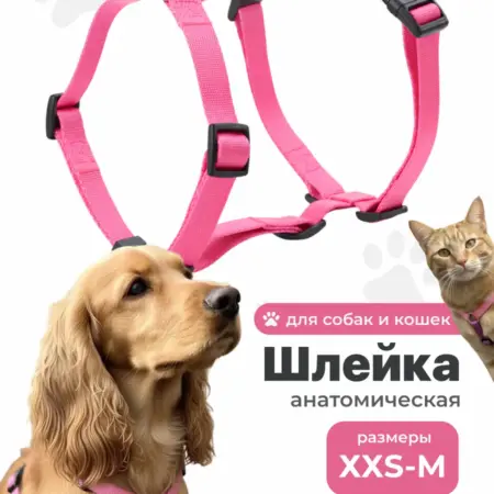 Шлейка для собак мелких и средних пород анатомическая. Интернет Революция