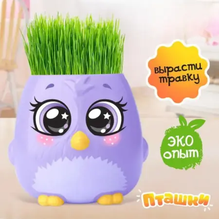 Набор для опытов для детей "Пташки выращиваем травку". Sonic Empire SN