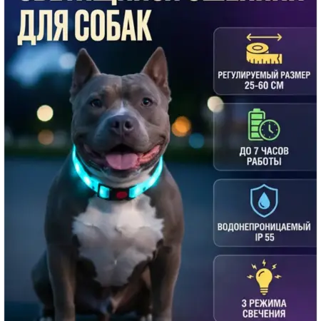 Ошейник светящийся для собак синий. Электромик