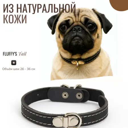 Ошейник для собак мелких пород однослойный чёрный. Fluffy's Tail