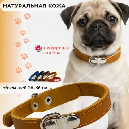 Ошейник кожаный для собак и кошек однослойный оранжевый. Fluffy's Tail