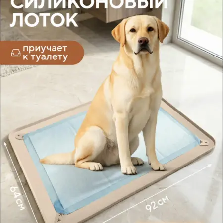 Лоток для собак под пеленку силиконовый 60*90 см. CityNature