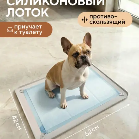 Лоток для собак под пеленку силиконовый 60*40 см. CityNature