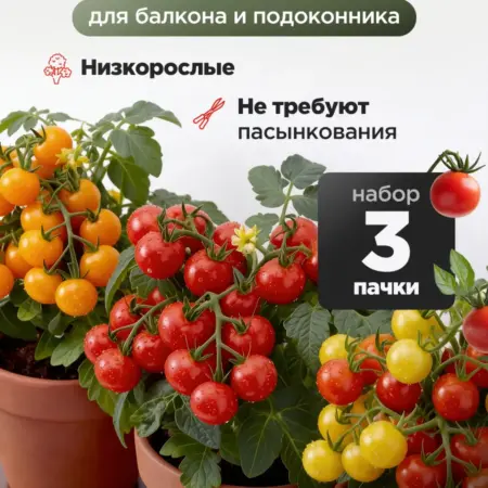 Семена томатов черри 3 пачки. Магазин АГРО-ОФФ - Сергей