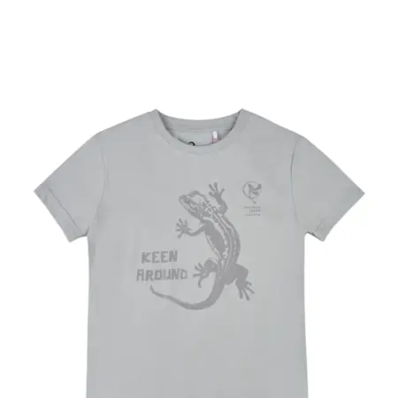 Футболка для мальчика серая с принтом. KARI