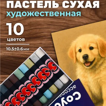 Пастель сухая художественная соус, 10 цветов. Сима-Ленд - Дом и Сад