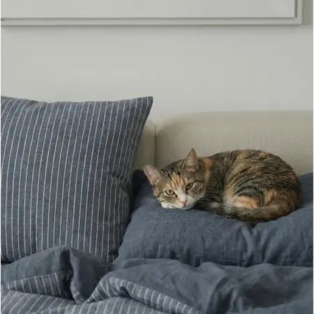 Наволочки 70х70 2 шт хлопок. IRIYAhome