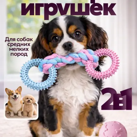 Набор игрушек для собак 2 в 1. ИП Гавриляченко Е.Н.