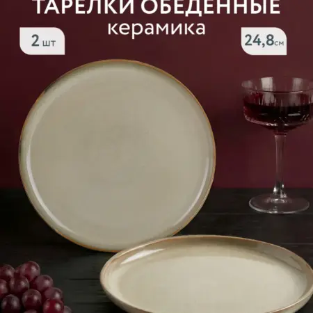 Тарелка обеденная 24,8 см набор 2 шт. Домаркет