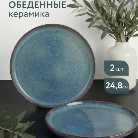 Тарелка обеденная 24,8 см набор 2 шт. Домаркет