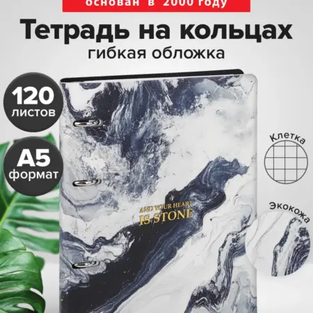 Тетрадь на кольцах А5 в клетку со сменным блоком, 120 листов. САМСОН