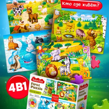 Развивающие игрушки пазлы детские Макси набор 4 в 1. ТРИДЕВЯТОЕ ЦАРСТВО