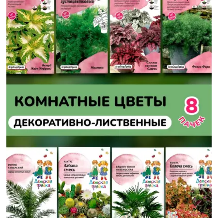 Комнатные цветы декративно-лиственные 8 сортов. АгроСидсТрейд