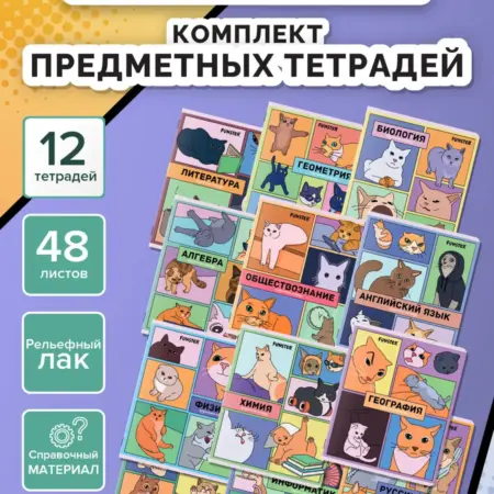 Предметные тетради 48 листов в клетку и линейку 12 шт набор. САМСОН